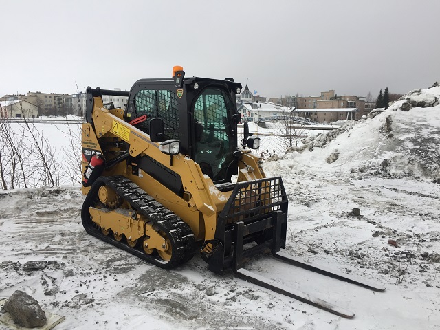 cat259D