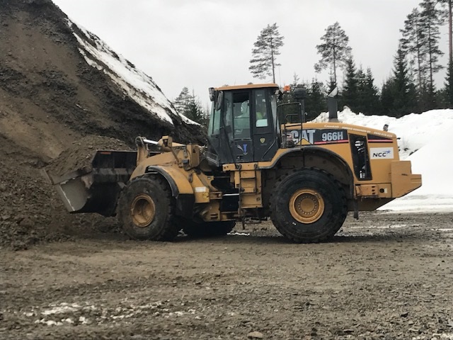 cat966